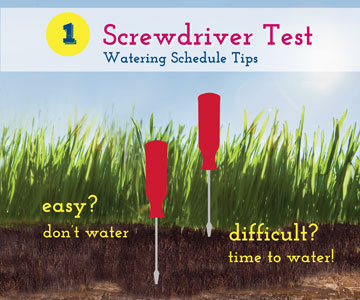 Screwdriver Test