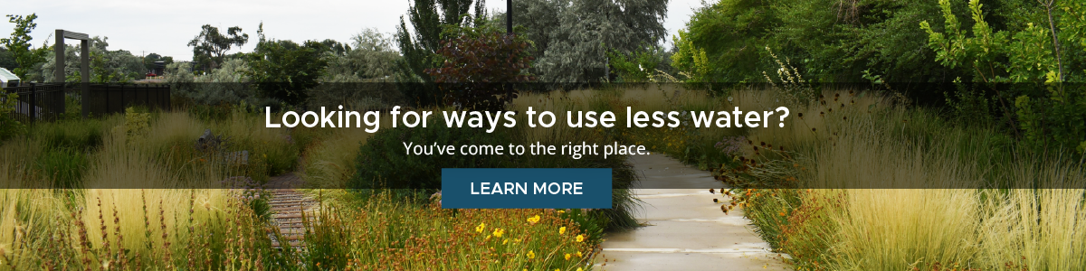 Ways to use less water
